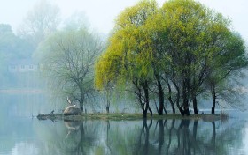 我在2025年，玩了20次大发快三，竟然收获了这些惊喜！
