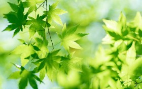 我尝试了无数次，终于揭开香港开马开奖现场直播的秘密！