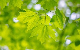 最新六合彩开奖结果揭晓，百万奖金花落谁家？