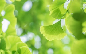 hg0088开户攻略，你准备好迎接2025年的新挑战了吗？