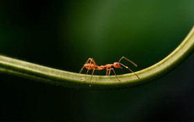 掌握这几点，轻松成为江苏快3的高手！